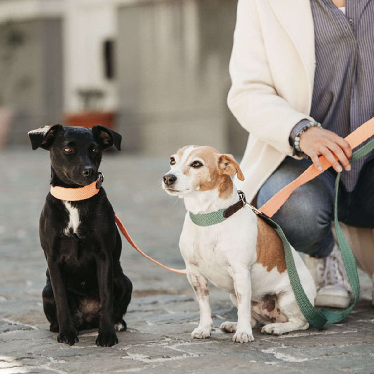 Kentucky Dog Leash Jacquard Neon Orange