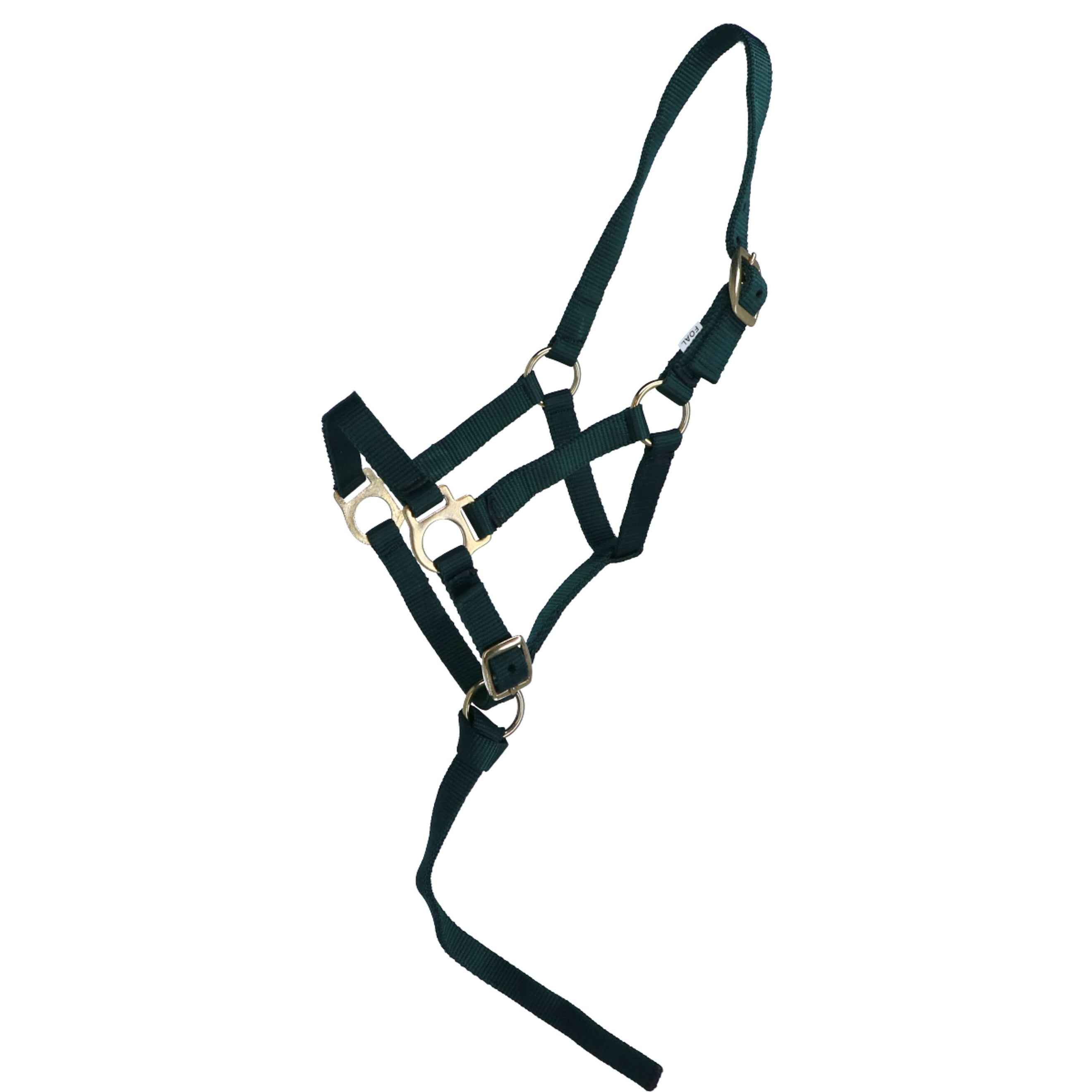 Norton Foal Halter with a Line Dark Green