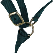 Norton Foal Halter with a Line Dark Green