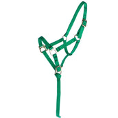 Norton Foal Halter with a Line Lightgreen