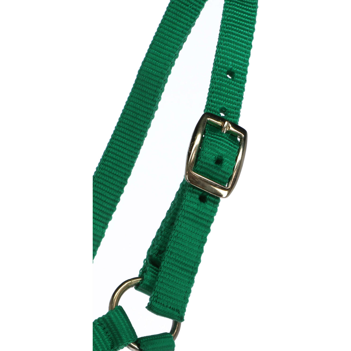 Norton Foal Halter with a Line Lightgreen