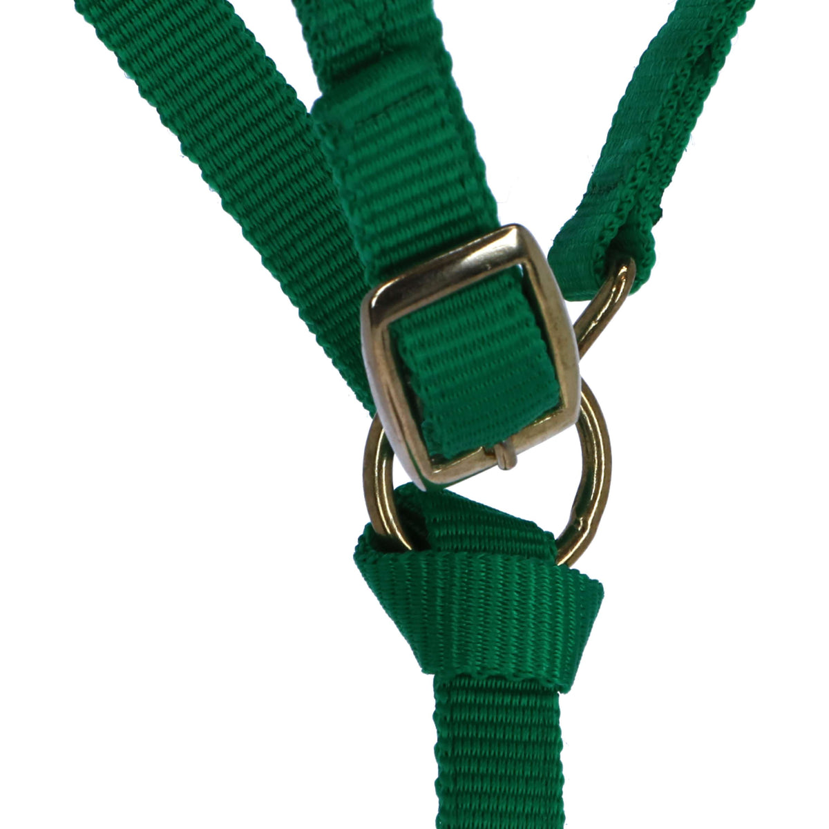 Norton Foal Halter with a Line Lightgreen