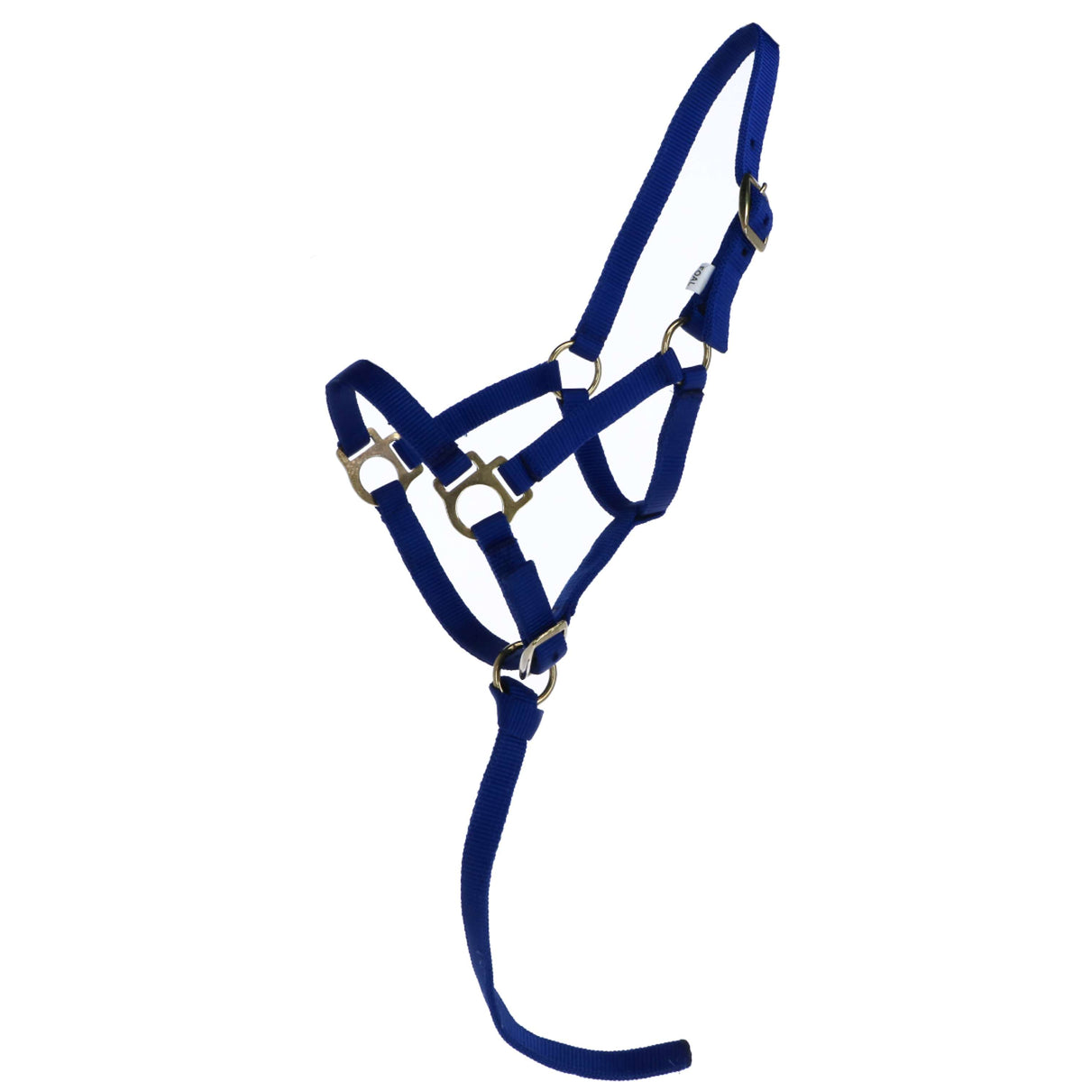 Norton Foal Halter with a Line Royal Blue