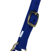 Norton Foal Halter with a Line Royal Blue