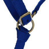 Norton Foal Halter with a Line Royal Blue