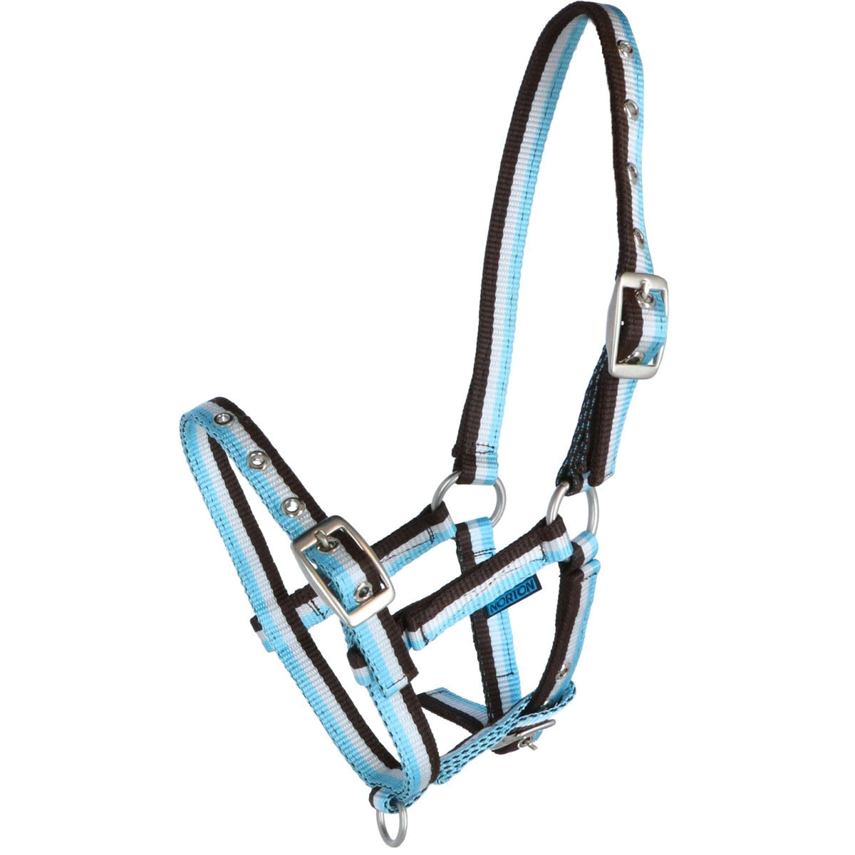 Norton Foal Halter Adjustable Choco/Light Blue