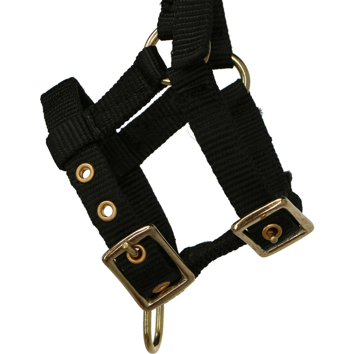 Norton Halter Mini Adjustable Black