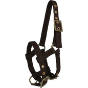 Norton Halter Mini Adjustable Brown