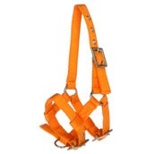 Norton Halter Mini Adjustable Orange