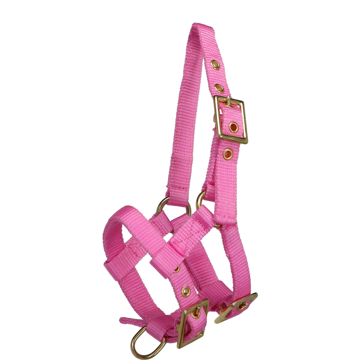 Norton Halter Mini Adjustable Pink