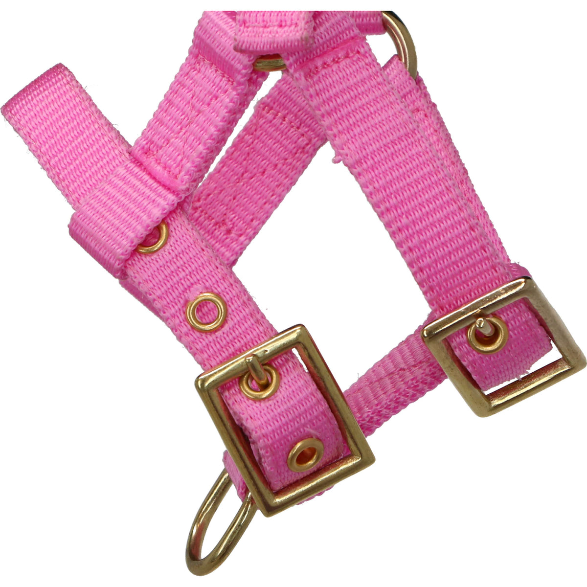 Norton Halter Mini Adjustable Pink