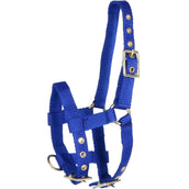 Norton Halter Mini Adjustable Royal Blue