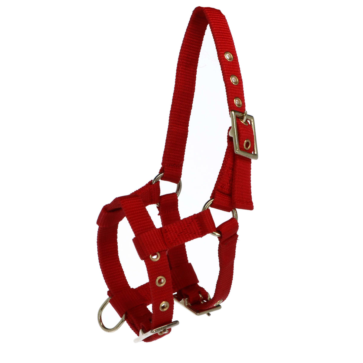 Norton Halter Mini Adjustable Red