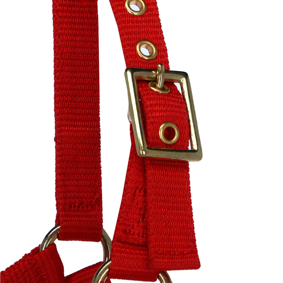 Norton Halter Mini Adjustable Red