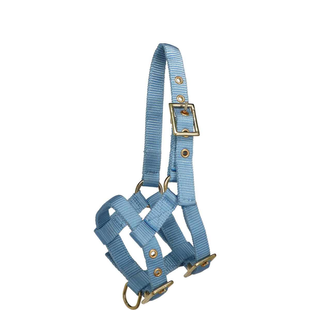 Norton Halter Mini Adjustable Lightblue