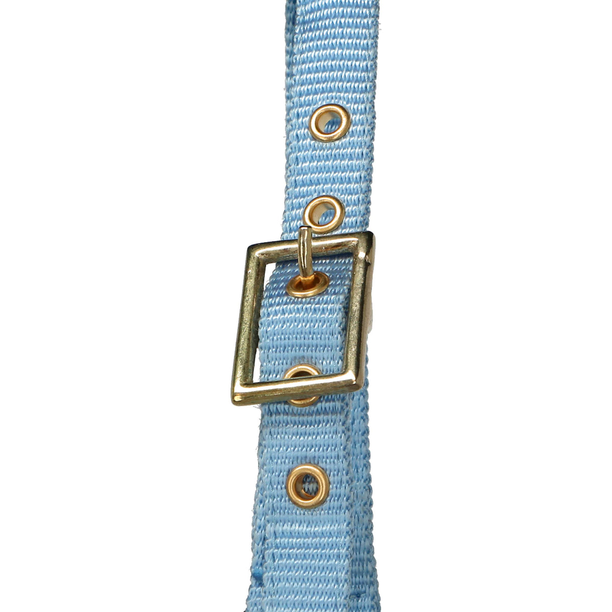 Norton Halter Mini Adjustable Lightblue