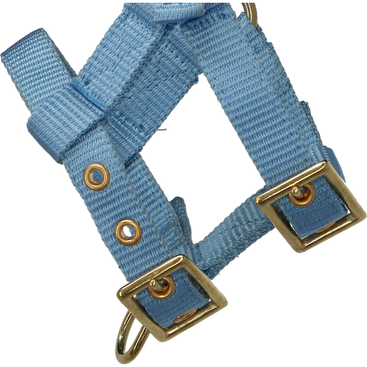 Norton Halter Mini Adjustable Lightblue