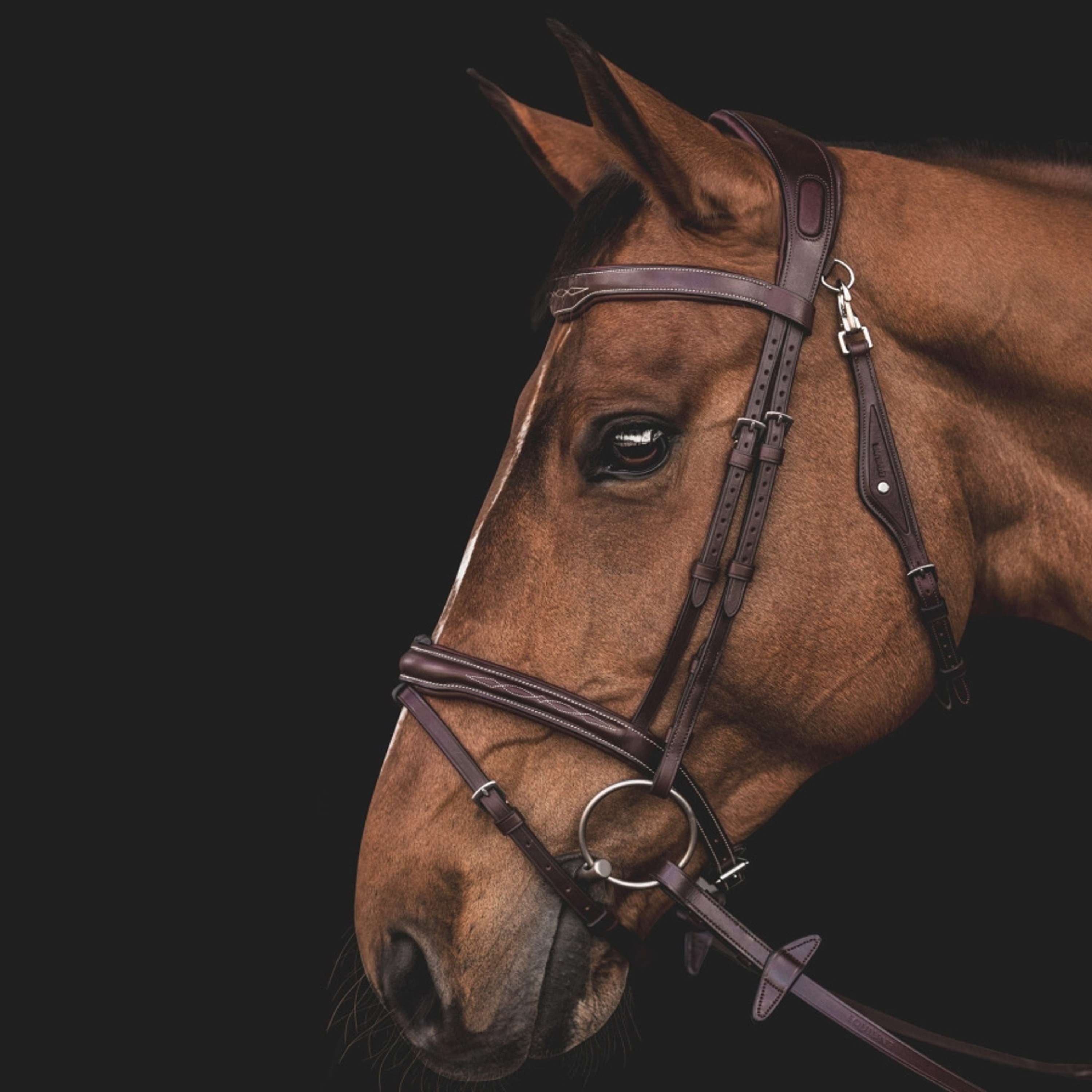 Equiline Bridle JP Anatomical Light Brown