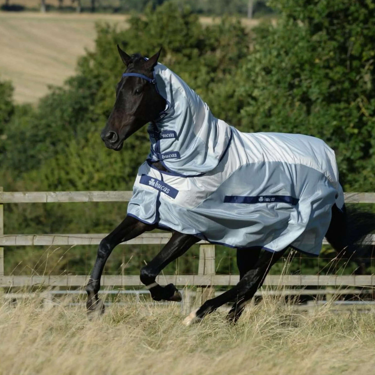 Bucas Buzz-Off Rain & Neck 0g Silver/Blue