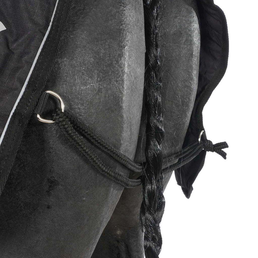 Back on Track Exercise Rug Sammy Black