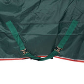 Tempest Outdoor Rug Typhoon Lite Combo Green