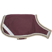 Amigo Dog Rug Ripstop Fig/Navy/Tan