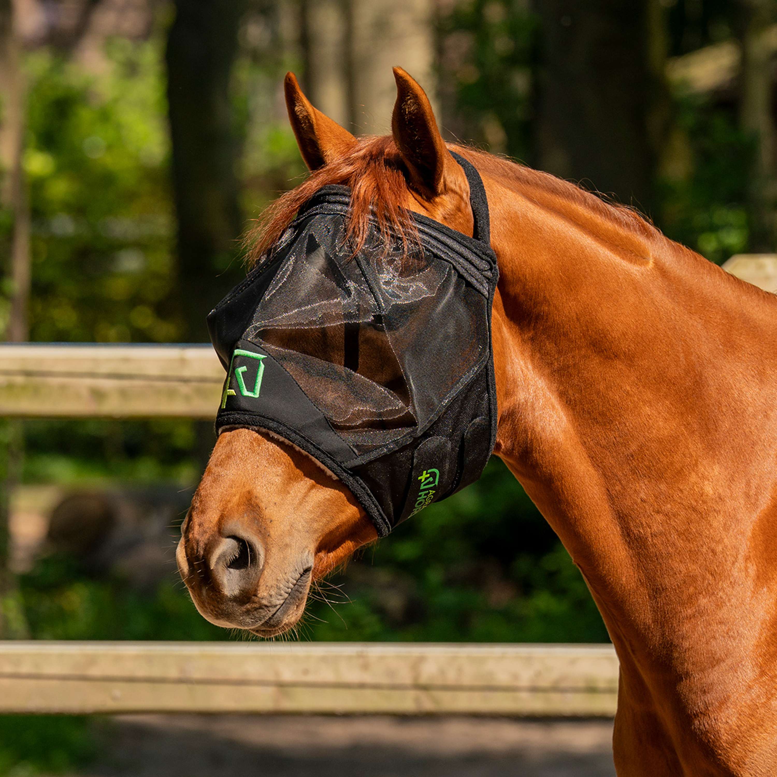 Agradi Horse Fly Mask Fine Mesh without Ears Black