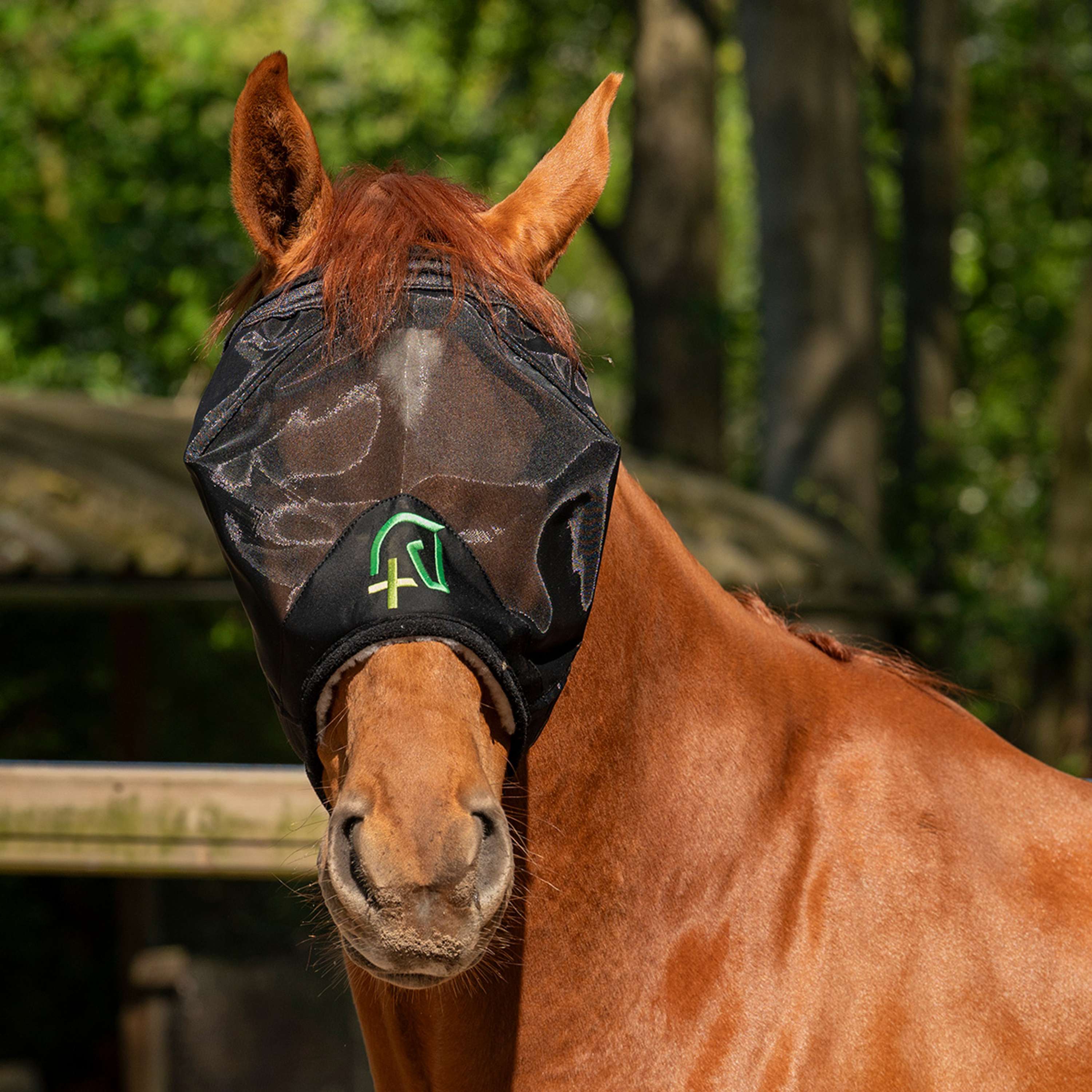 Agradi Horse Fly Mask Fine Mesh without Ears Black