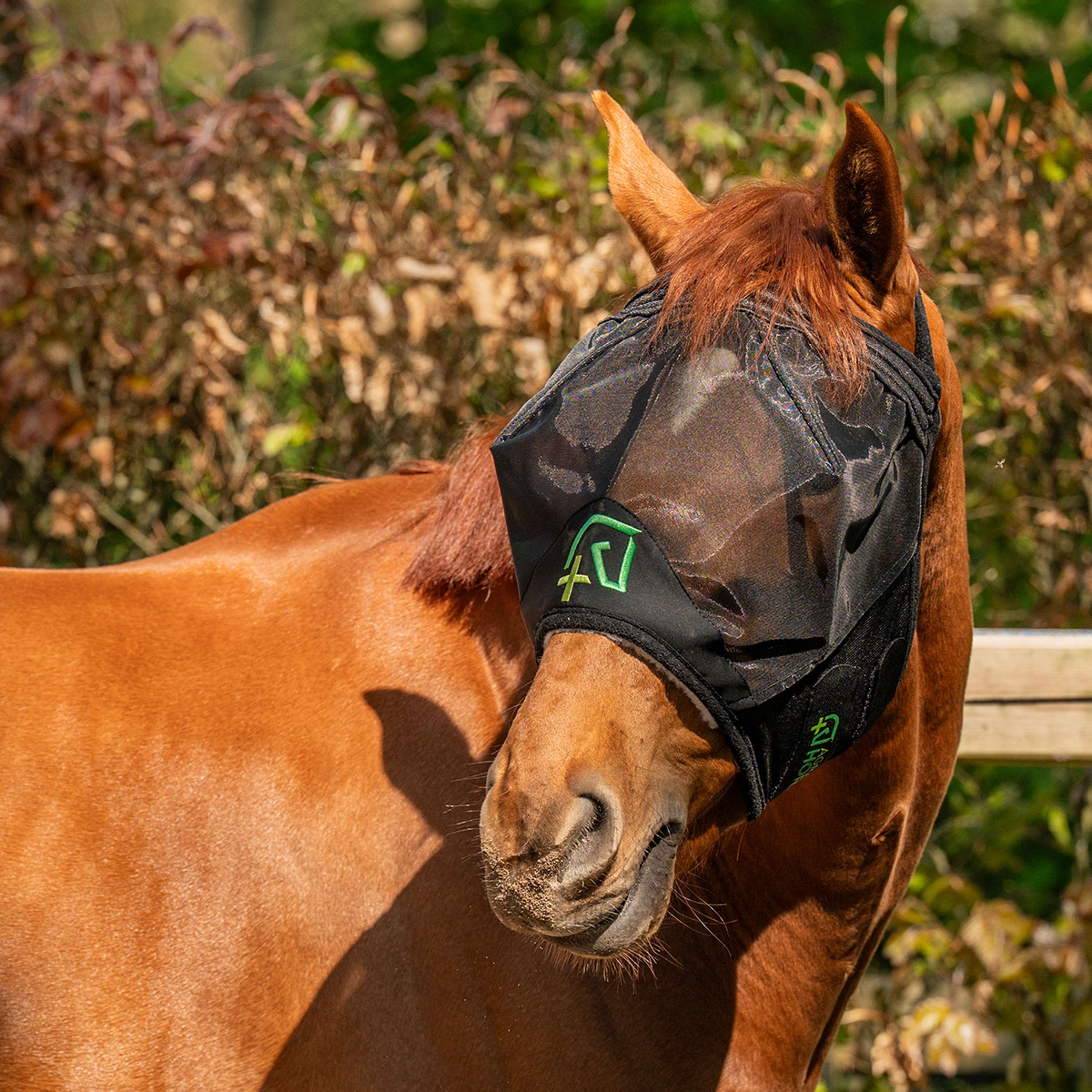 Agradi Horse Fly Mask Fine Mesh without Ears Black