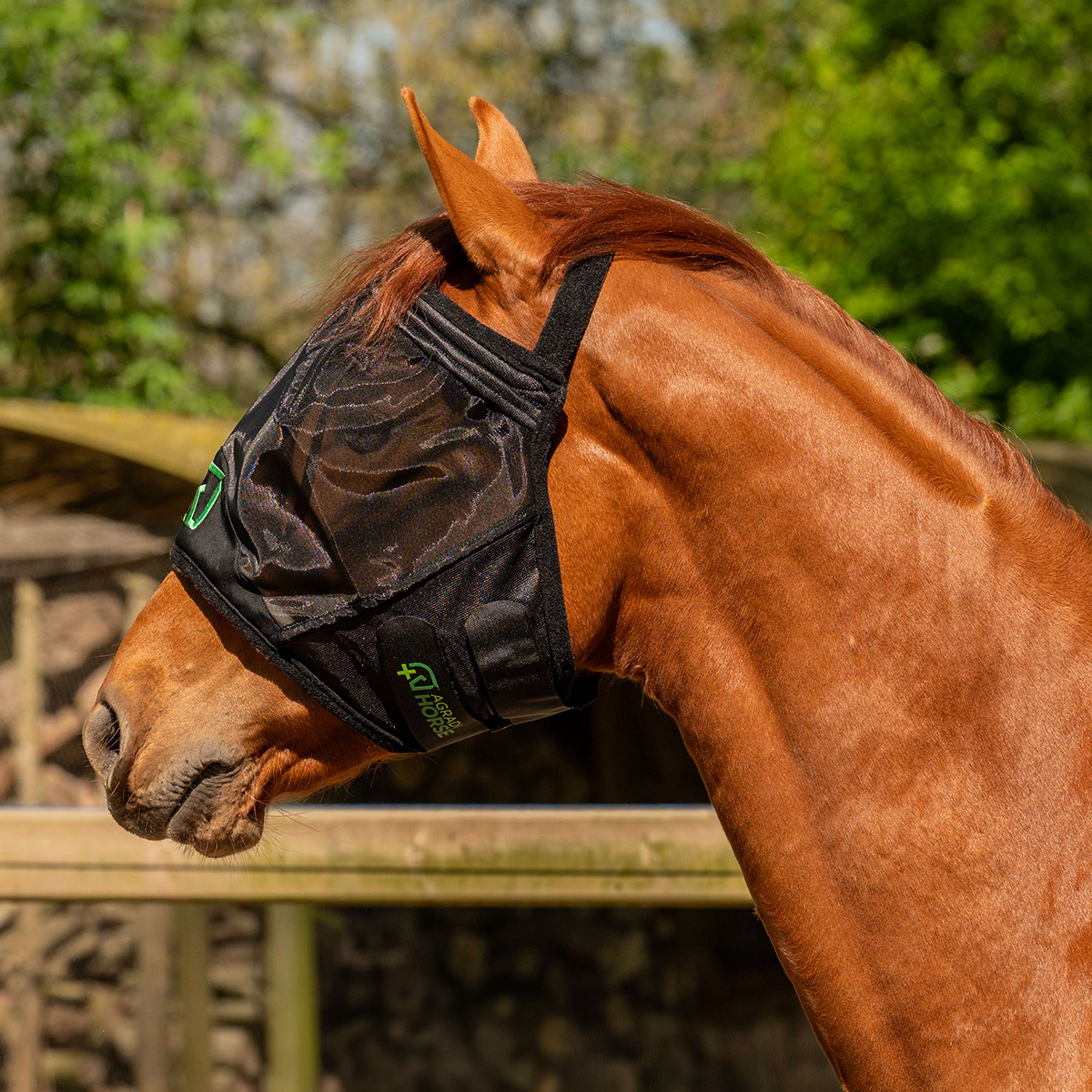 Agradi Horse Fly Mask Fine Mesh without Ears Black