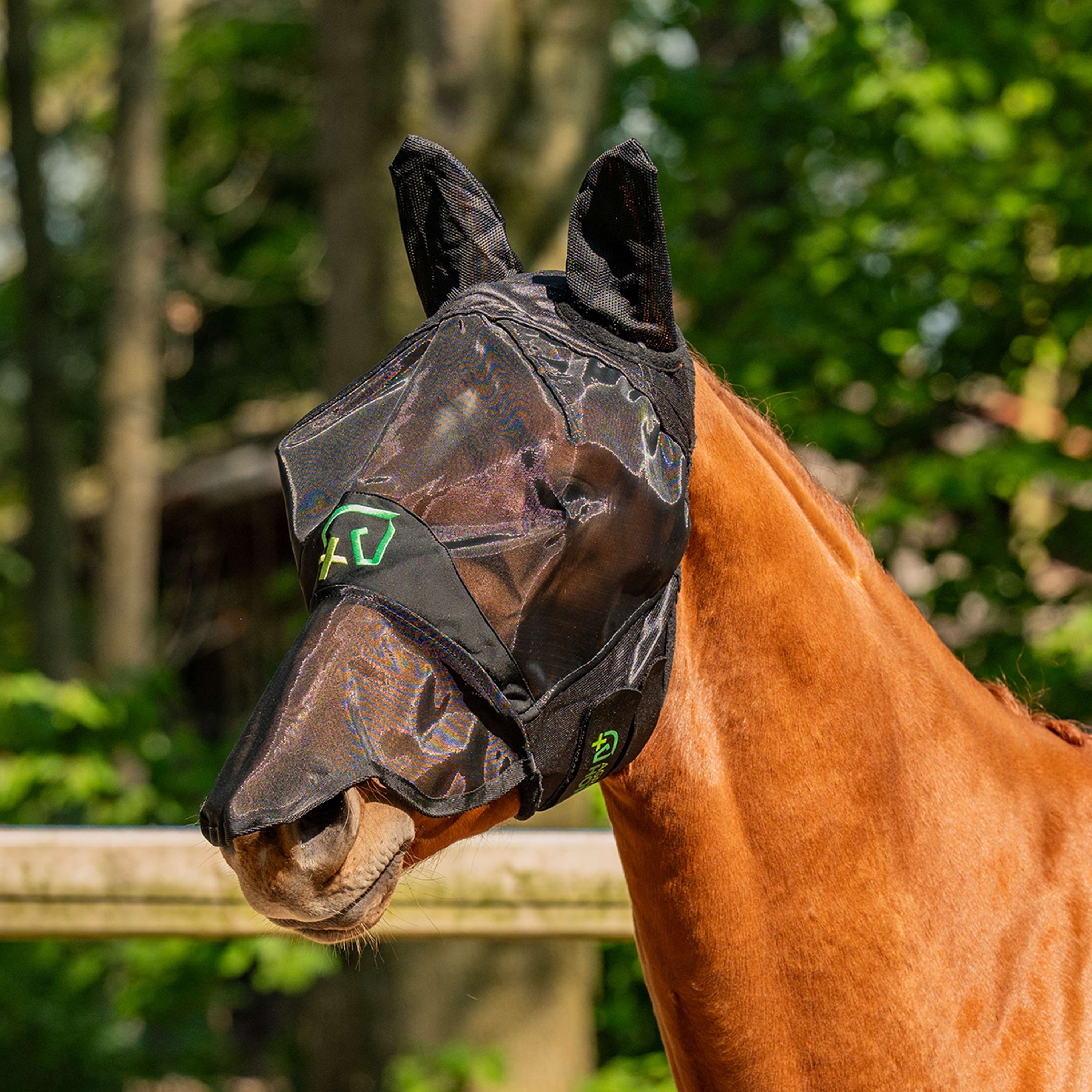 Agradi Horse Fly Mask Fine Mesh with Ears and Nose Black