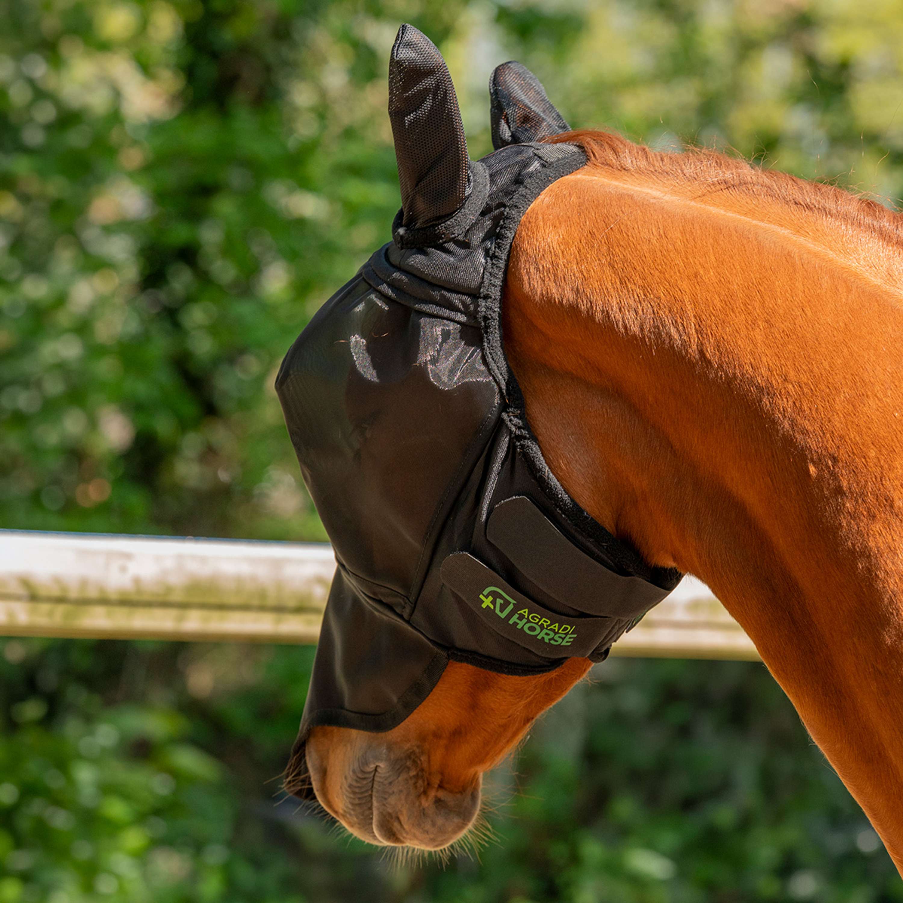 Agradi Horse Fly Mask Fine Mesh with Ears and Nose Black