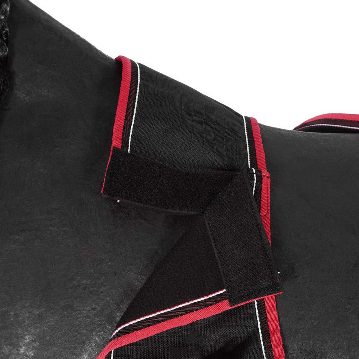 EQUITHÈME Exercise Rug Tyrex 1200D Fleece Black/Raspberry