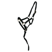 Norton Foal Halter with a Line Black