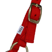 Norton Foal Halter with a Line Red