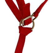 Norton Foal Halter with a Line Red