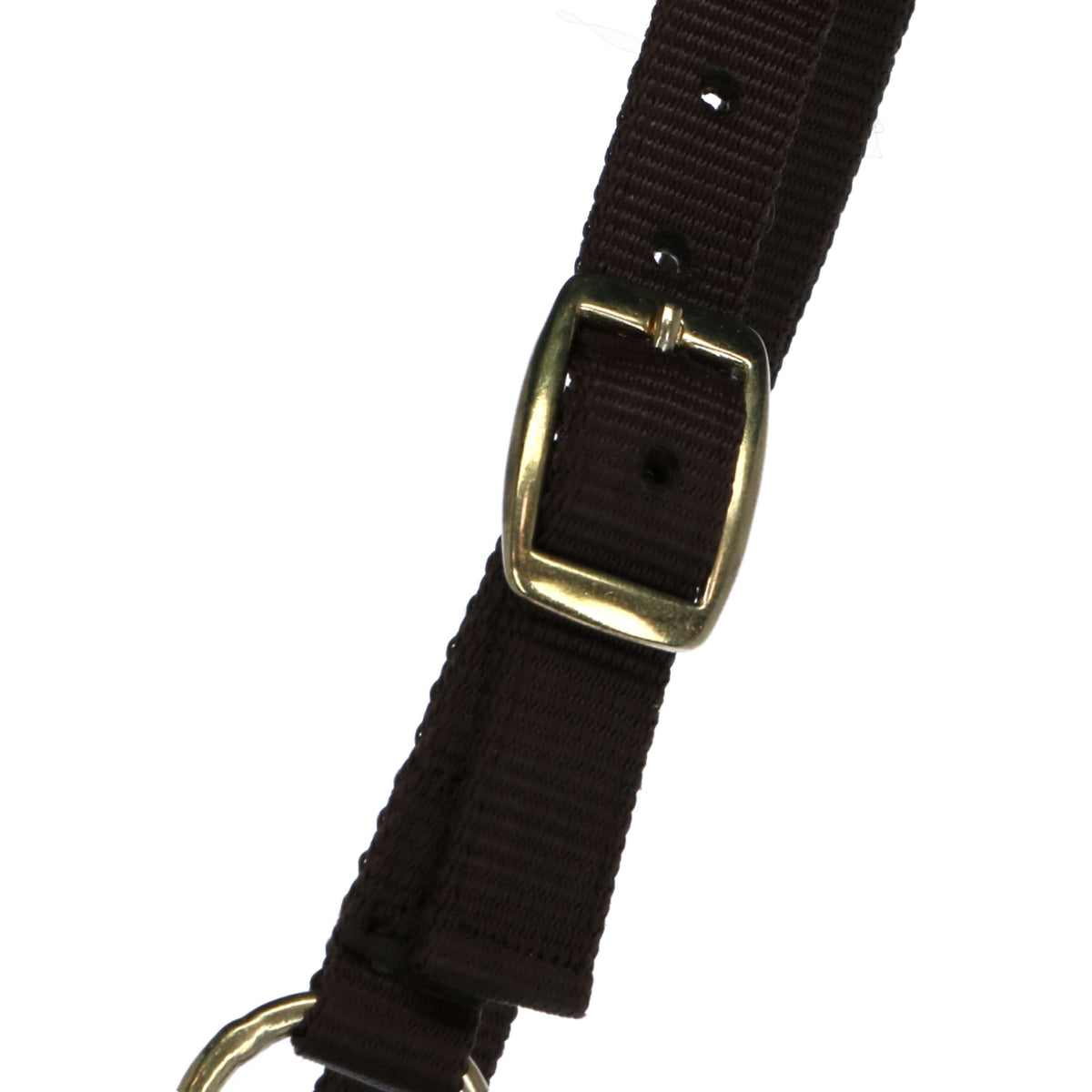 Norton Foal Halter with a Line Brown