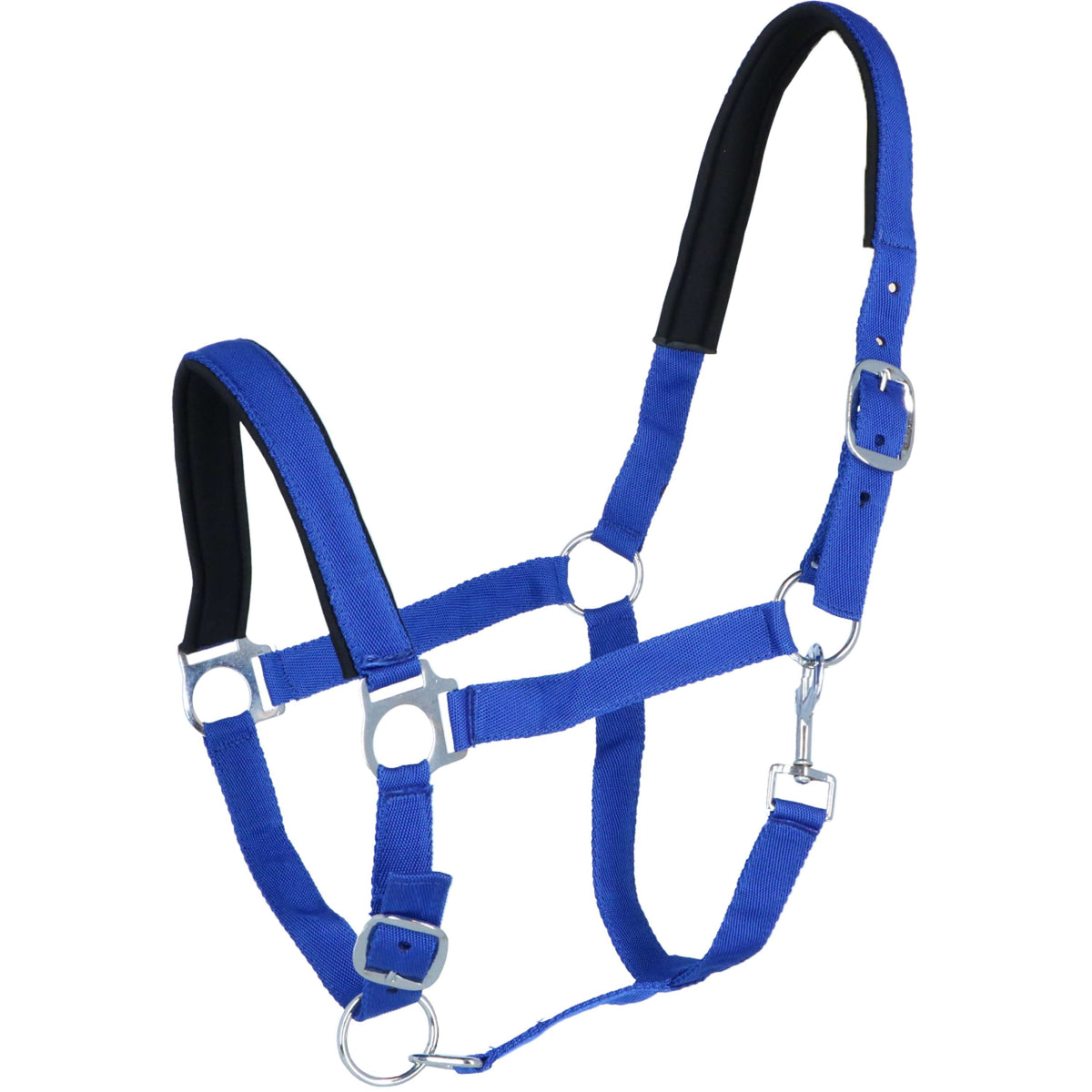 Norton Halter Lined with Neoprene Royal Blue