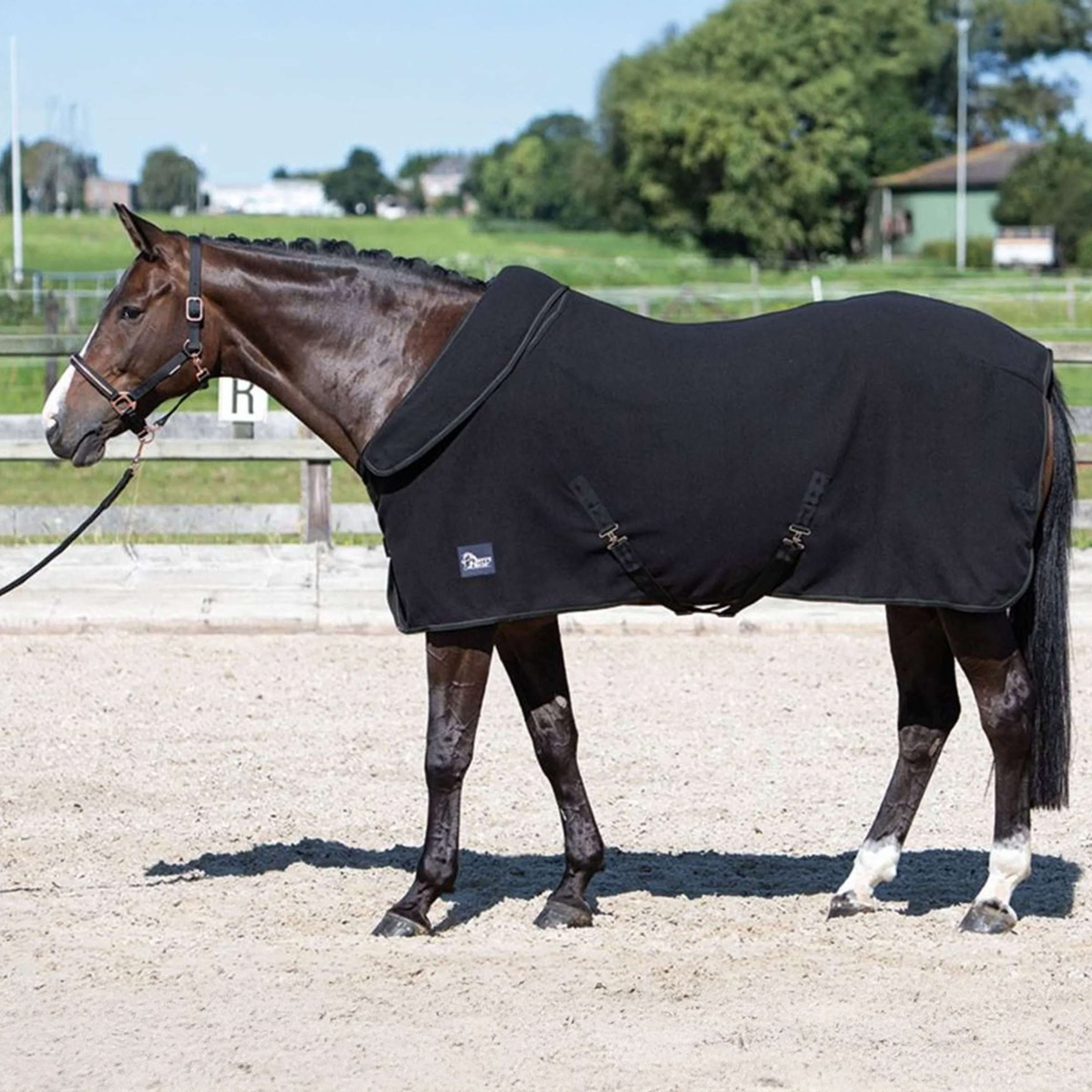 Harry's Horse Fleece Rug with Rollable Neck Black
