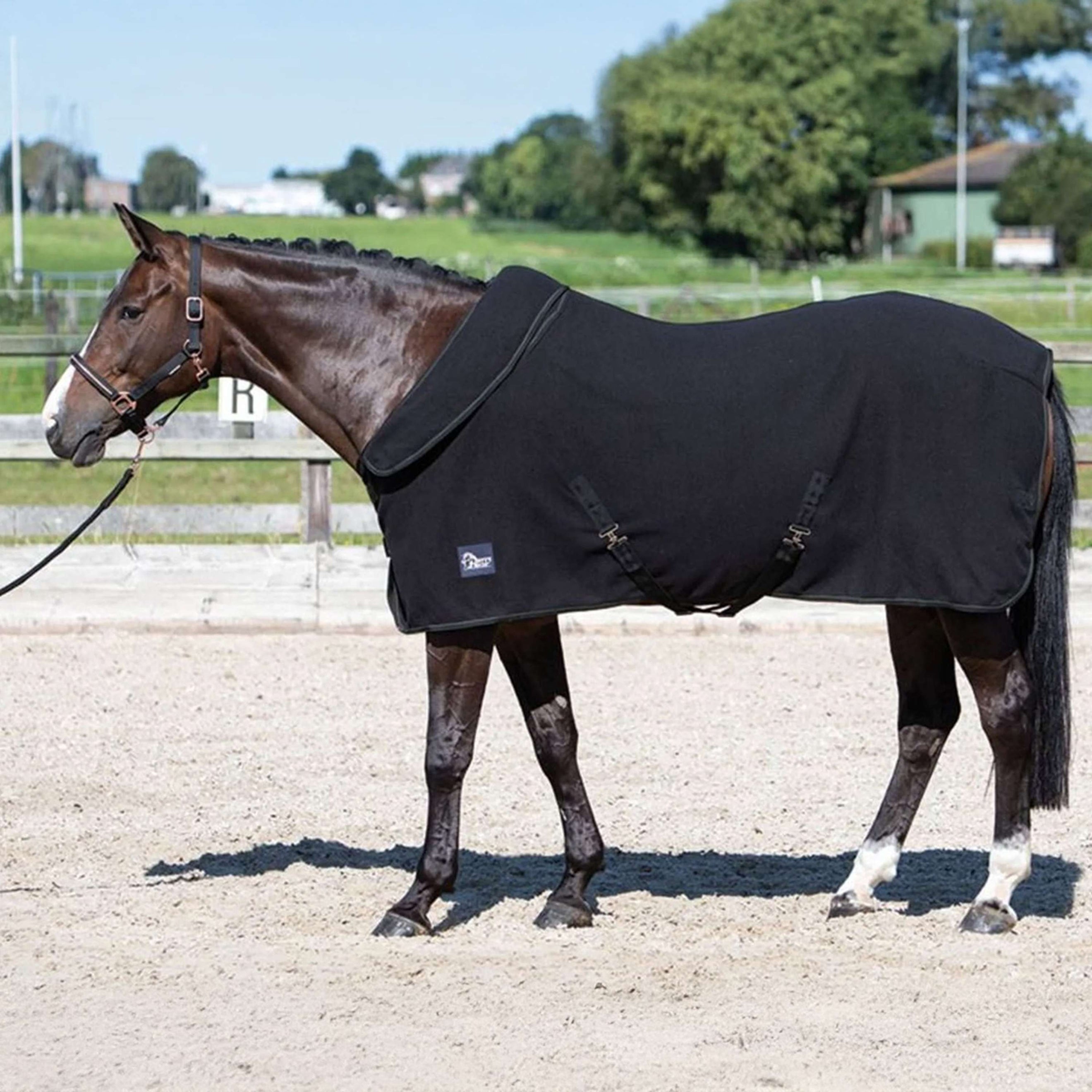 Harry's Horse Fleece Rug with Rollable Neck Black Harry's Horse Fleece Rug with Rollable Neck Black