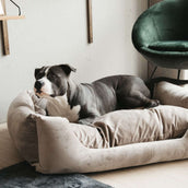 Kentucky Dog Bed Velvet Beige