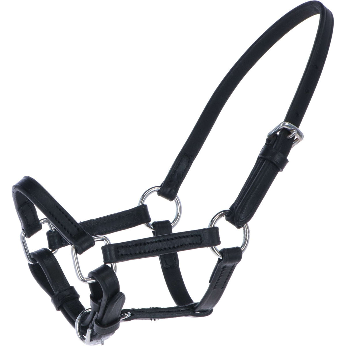 HB Harry & Hector Foal Halter Mini Black