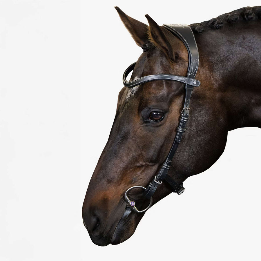 PS of Sweden Bridle Helsinki Black