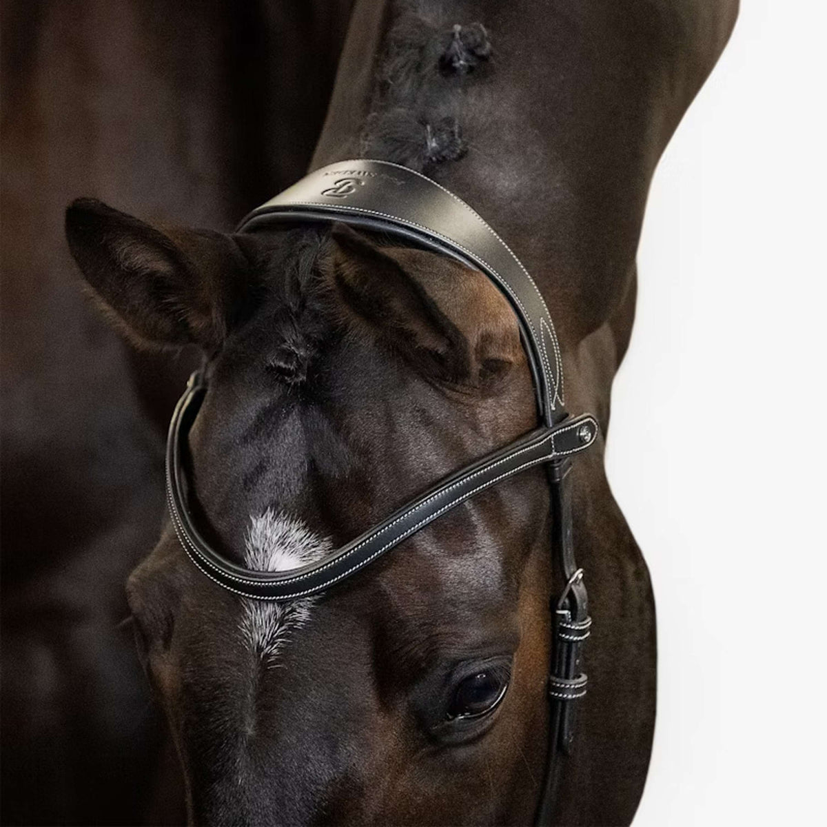 PS of Sweden Bridle Helsinki Black