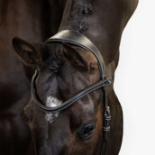 PS of Sweden Bridle Helsinki Black
