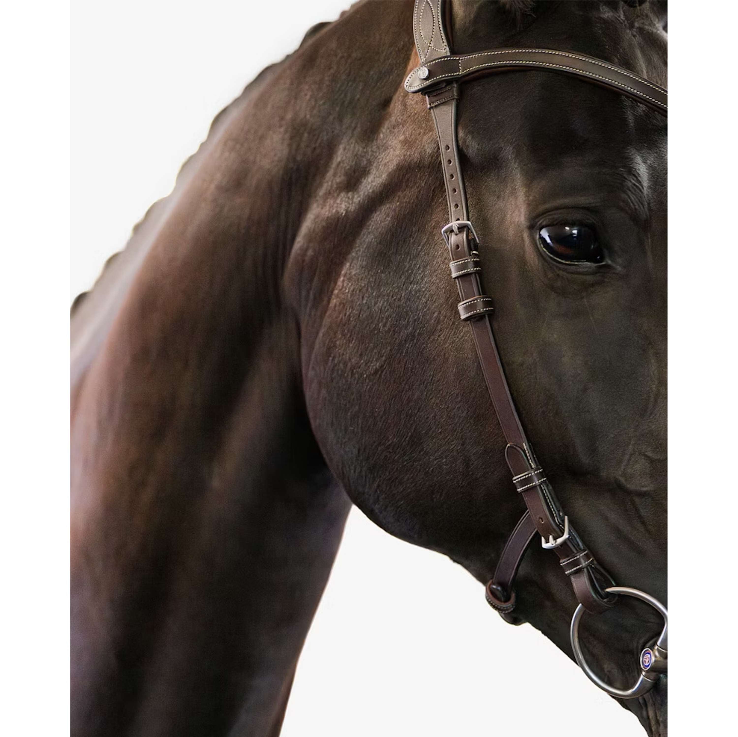 PS of Sweden Bridle Helsinki Brown