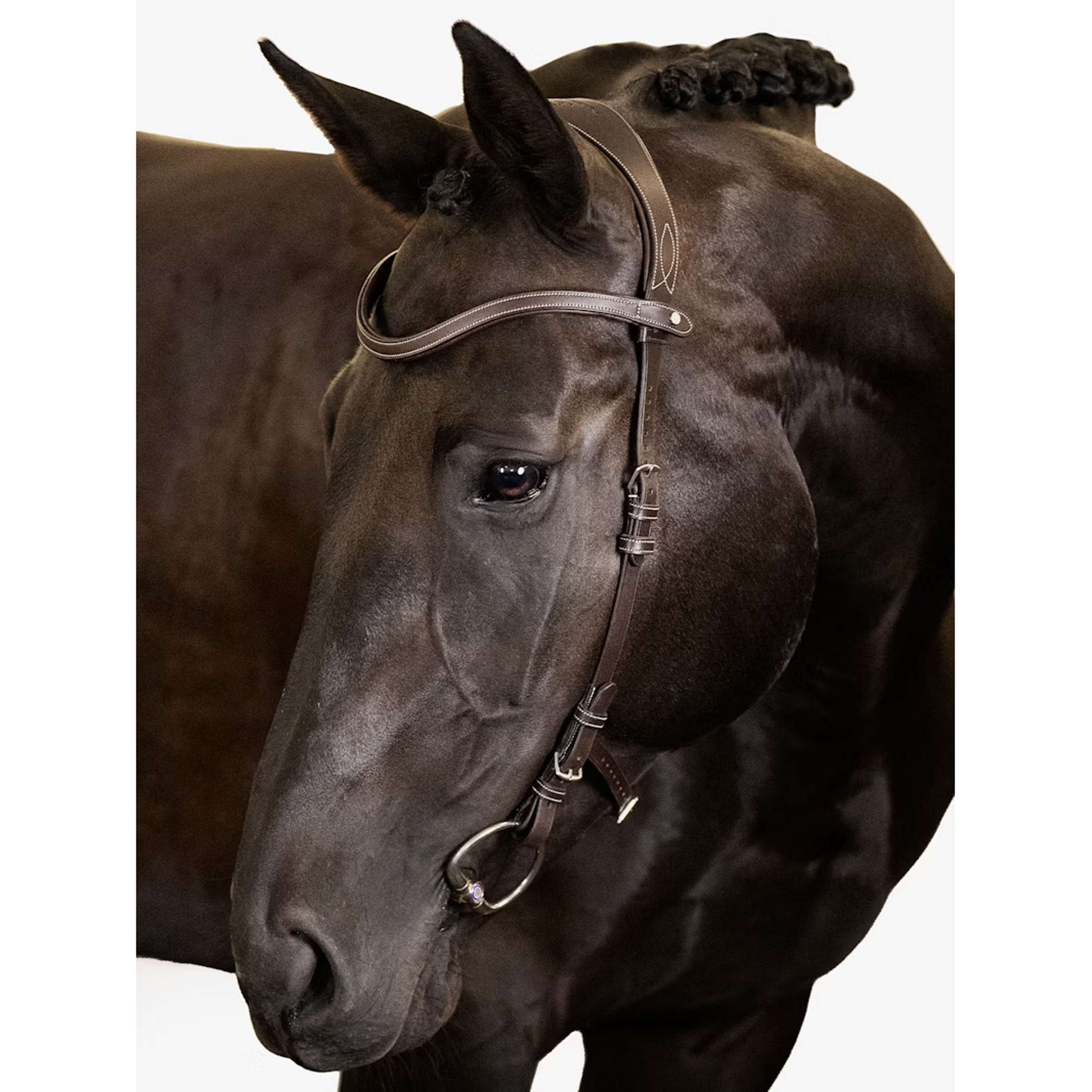 PS of Sweden Bridle Helsinki Brown