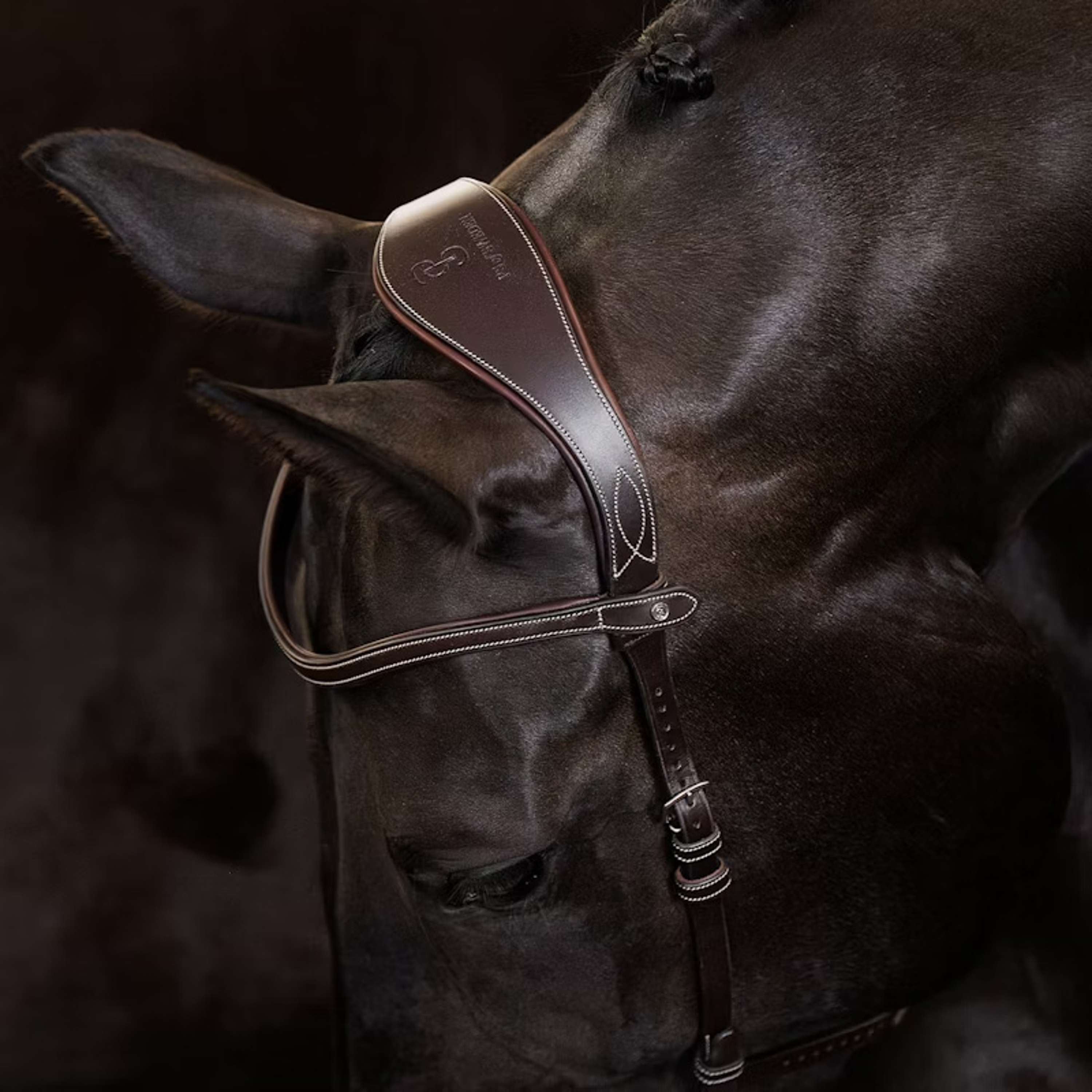 PS of Sweden Bridle Helsinki Brown