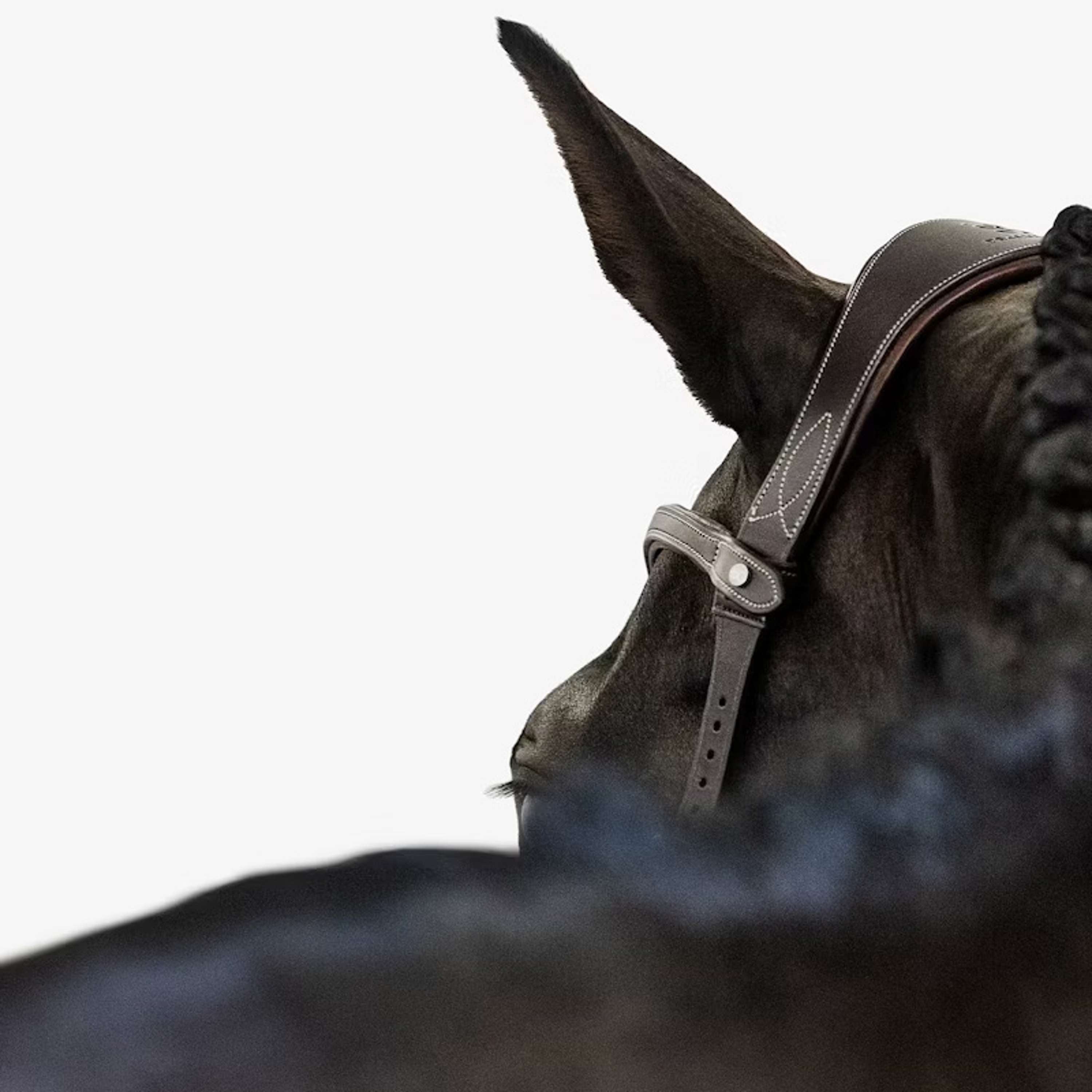 PS of Sweden Bridle Helsinki Brown