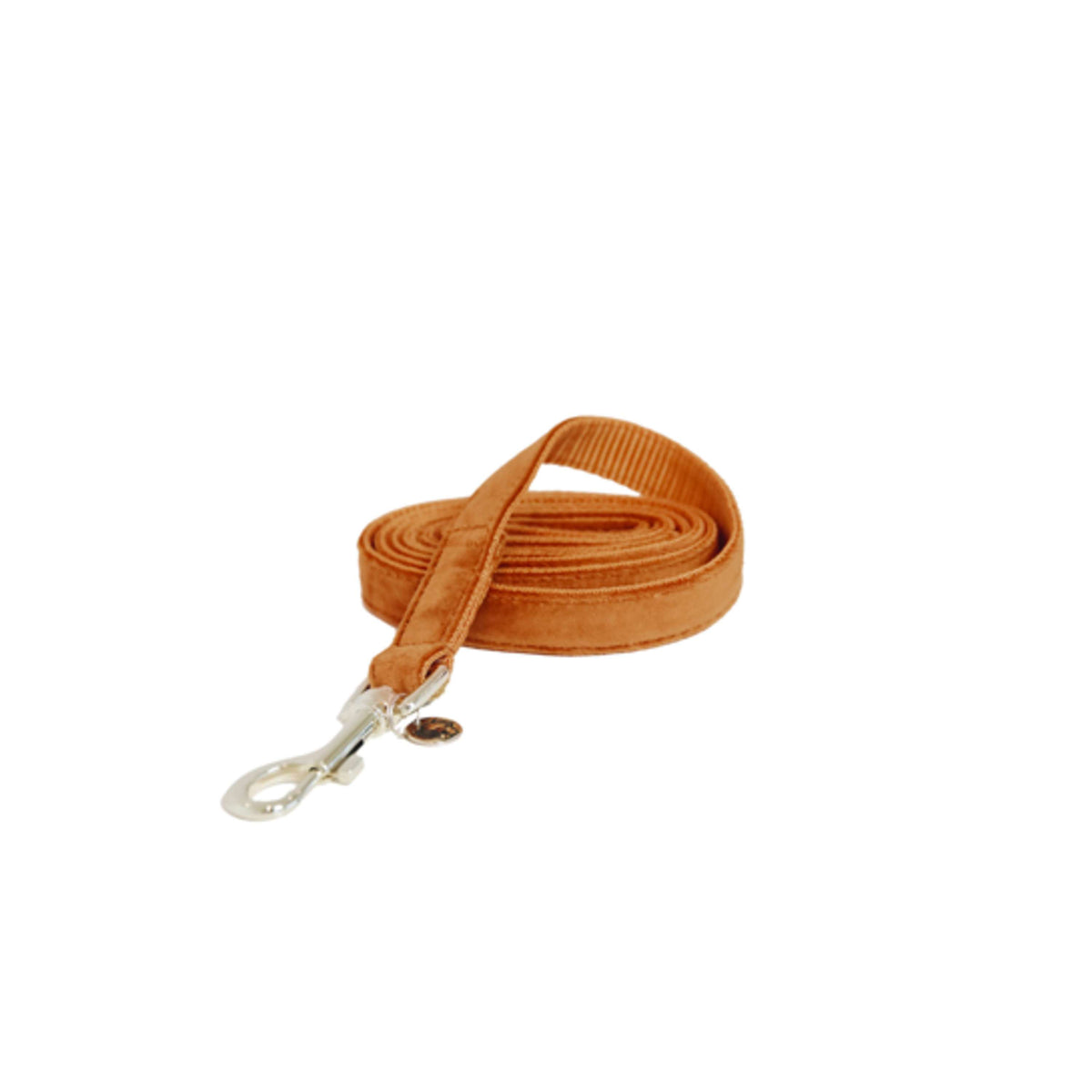 Kentucky Dog Leash Velvet Orange